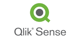 Qlik Sense Consulting & Development in International level